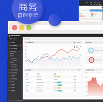 商务管理系统定制开发