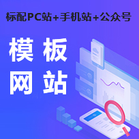 模板网站