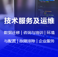 技术服务及运维