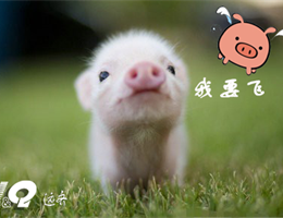 传统企业信息化还没等到完善就落伍了