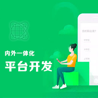 内外一体化开发平台