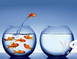 不是技术，是思路，客户让我们惊喜